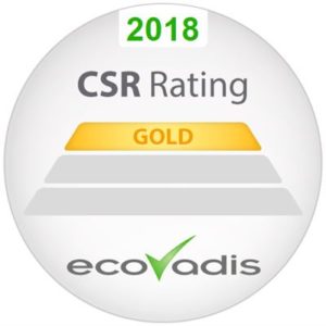 2018 EcoVadis Gold Corporate Social Responsibility Rating logo