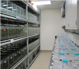image of racks of dredged material in laboratory