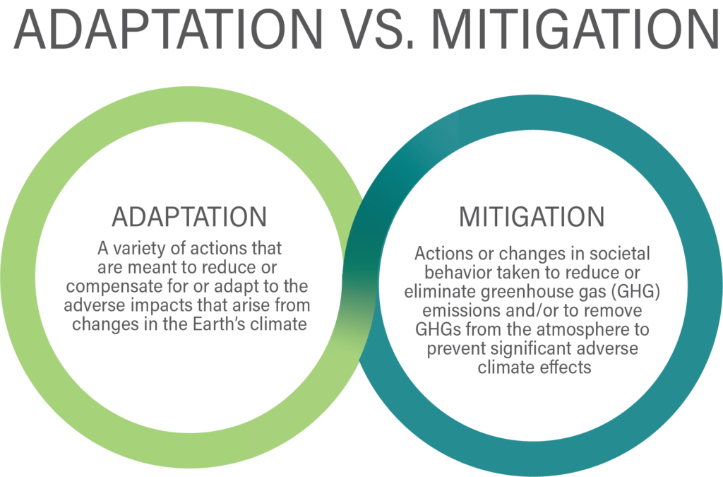 Climate Change Adaptation vs Mitigation