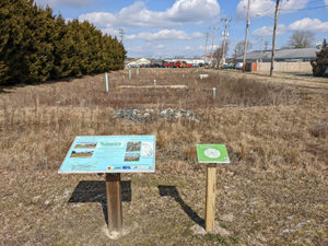 Graham Avenue Submerged Gravel Wetland with Sign