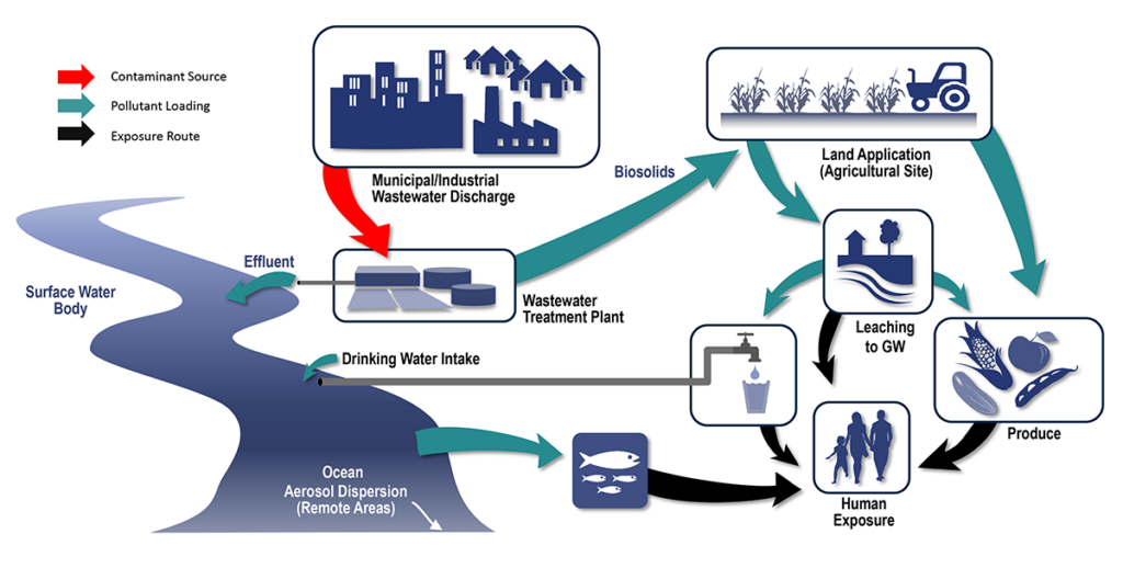 A conceptual graphical model for PFAS and wastewater treatment describes the journey of PFAS from its original source of contamination through pollutant loading in rivers, crops, and groundwater that leads to human exposure.