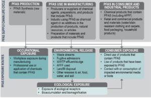 Flow chart describing the lifecycle of PFAS used in production, manufacturing, and consumer products, leading to occupational exposure, environmental release, and consumer and ecological exposure.