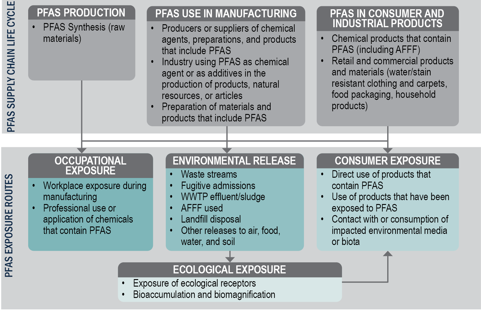 Flow chart describing the lifecycle of PFAS used in production, manufacturing, and consumer products, leading to occupational exposure, environmental release, and consumer and ecological exposure.