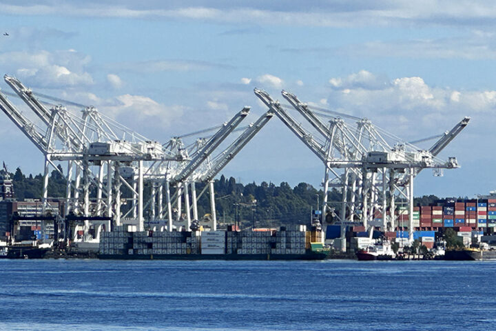 Cranes offloading cargo at the Port of Seattle