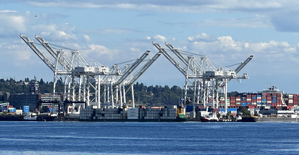 Cranes offloading cargo at the Port of Seattle