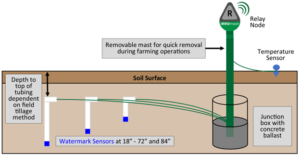 An illustrated diagram of how equipment is installed in the ground to measure cover crop effect on groundwater recharge. The sketch shows three white vertical tubes below the soil surface with dark blue blocks at the bottom to indicate water. These tubes are labeled as Watermark Sensors and each is connected by green lines to a tall green vertical tube is half buried. The bottom end of the green tube is in a cylinder half filled with grey to indicate concrete. The top end of the green tube extends above the soil line and has a grey and green teardrop shape with letter R and word "IRROmesh" on it. This is labeled as a relay node. A line runs from the green tube near the soil surface to a small circle with a triangle attached and underneath that is half shown in the soil and indicates a temperature sensor.