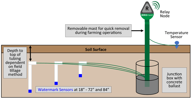 An illustrated diagram of how equipment is installed in the ground to measure cover crop effect on groundwater recharge. The sketch shows three white vertical tubes below the soil surface with dark blue blocks at the bottom to indicate water. 