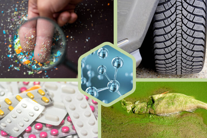 Composition of five photographs showing microplastics on a human finger, a vehicle tire tread, a grouping of pills, a dead fish covered in algae, and molecules.