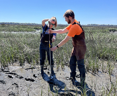 EA scientists taking samples on a coastal resilience site