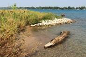 Stabilized shoreline with stone buffering