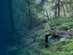 Environmental Scientist holding a equipment to collect soil samples in a forest and surrounded by ferns