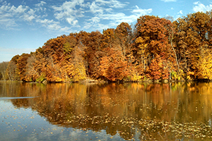 Reservoir with wooded shoreline in the fall with orange leaves