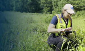 A scientist crouching in a wetland and documenting pant information into a tablet
