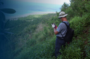 A scientist on a vegetated hillside collects data on a mobile device with the ocean in the background